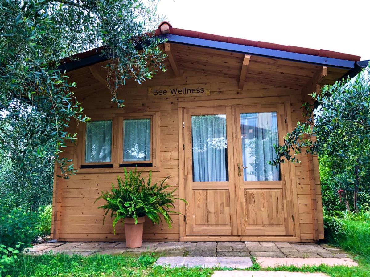 Beehouse - La Casa Delle Api Agriturismo Borso del Grappa Exterior foto
